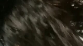 Brasil hermoso mamando a un bruno diferente