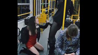 Estudio Miss Off Cross Pest Sex Sexo